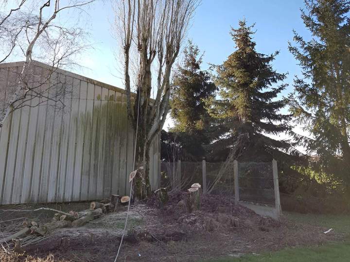 Abattage d’arbres Chartres