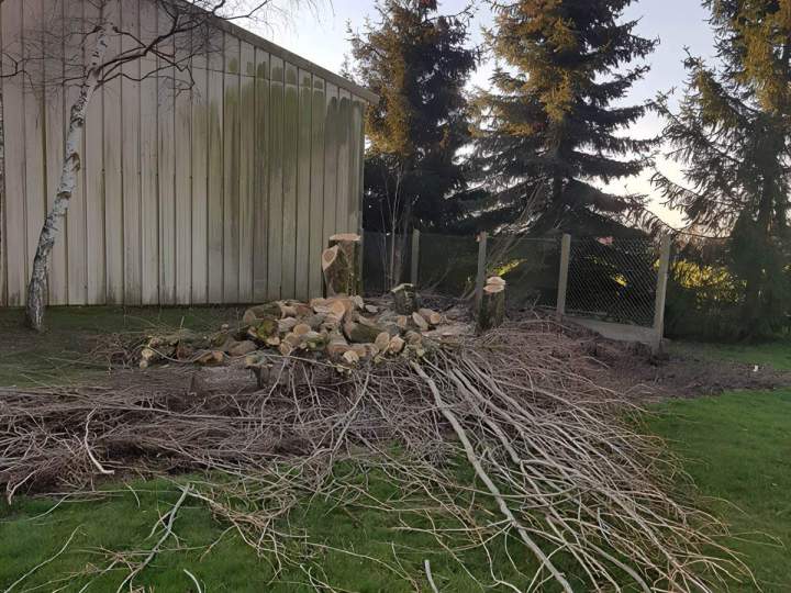 Abattage d’arbres Chartres