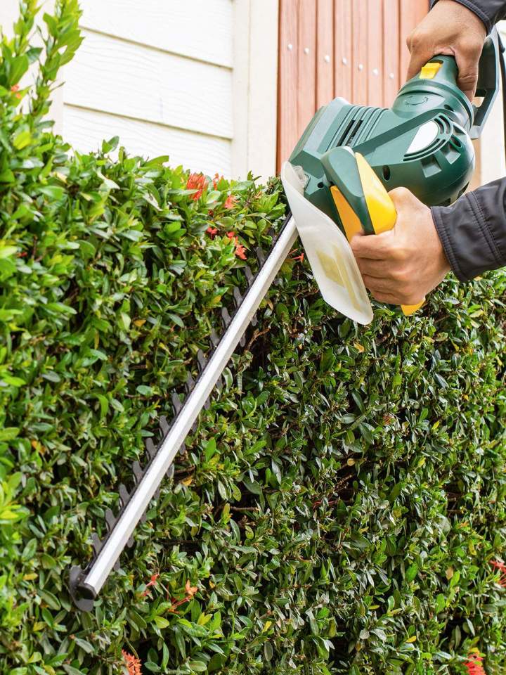 Service d'entretien jardin Chartres